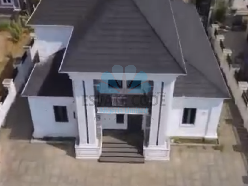 video image
