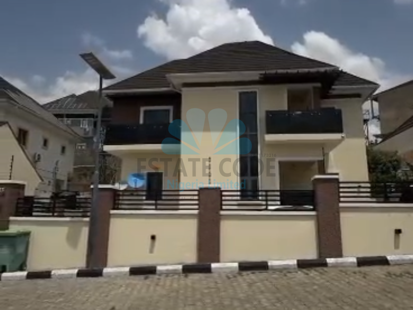 video image