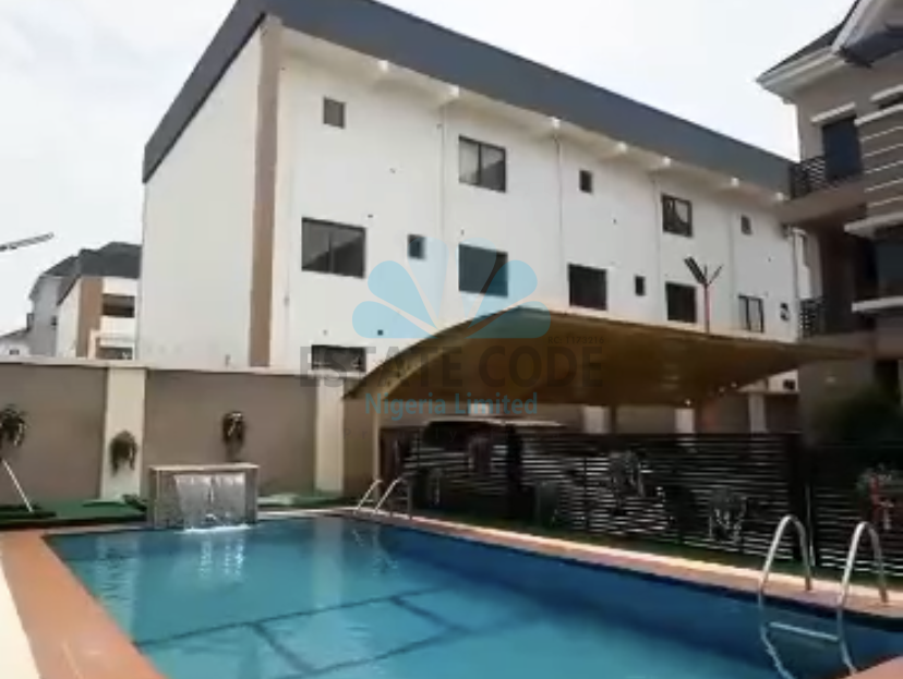 video image