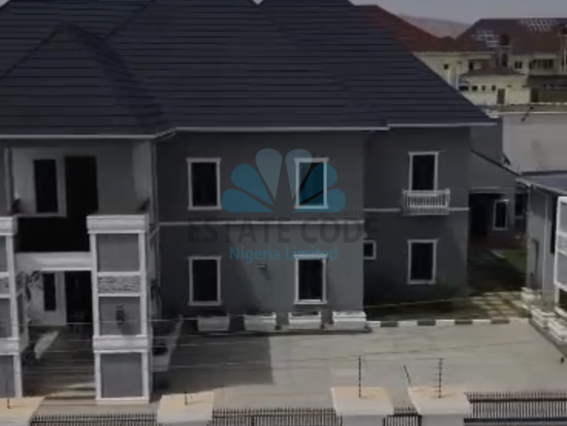 video image